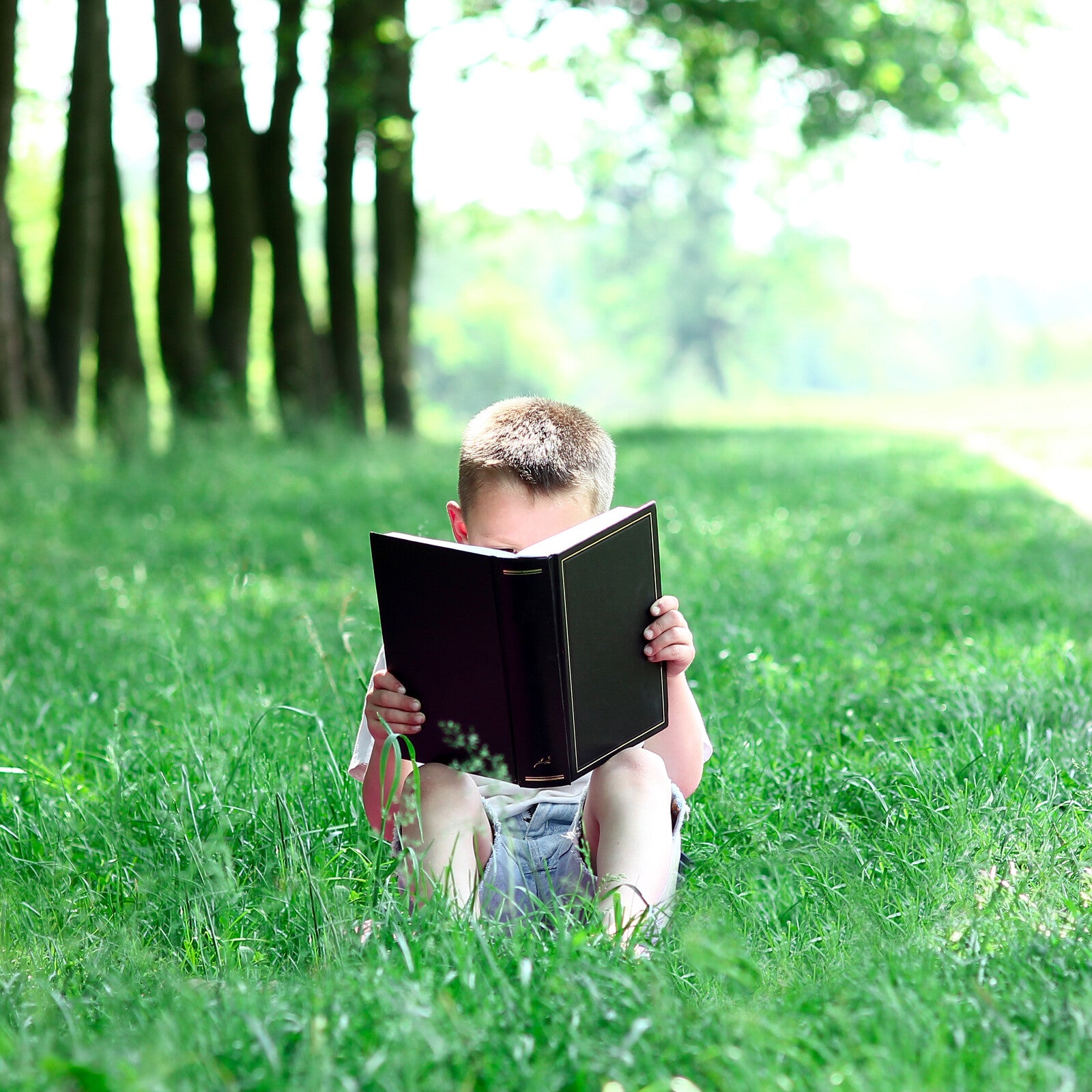 The Benefits Of Reading Books